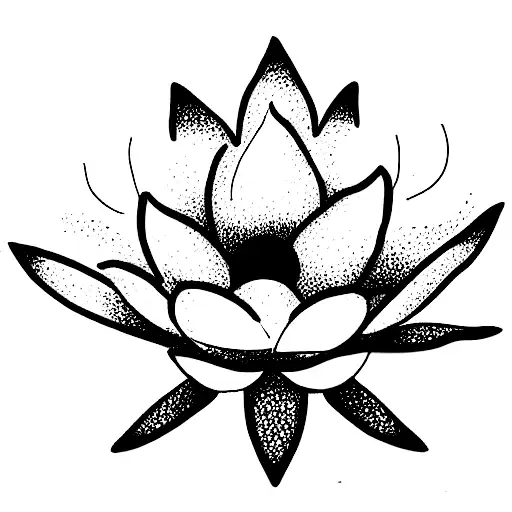 A Sketch Of Lotus Flower With Each Petal Representing A Different Phase Of The Moon