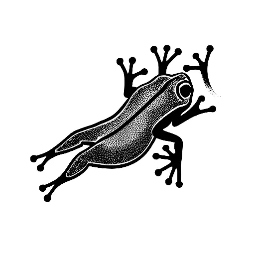 Frog Jumping Or Climbing Up The Forearm