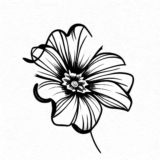 Daisy Flower And A Hibiscus Flower