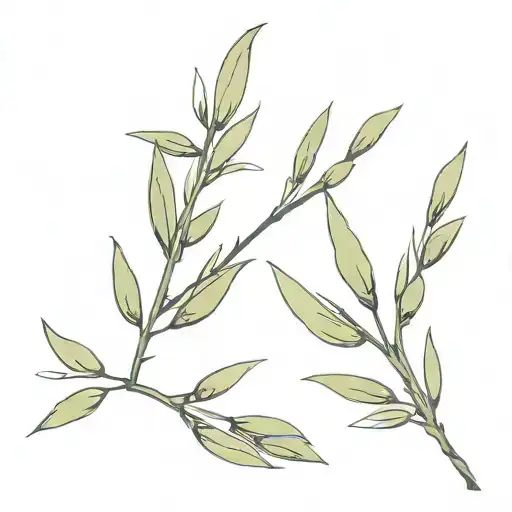 Olive Branch Representing A Different