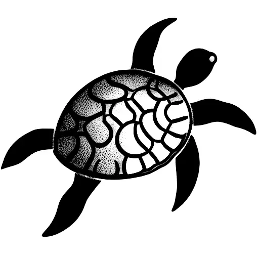 Turtle With Moon And Stars
