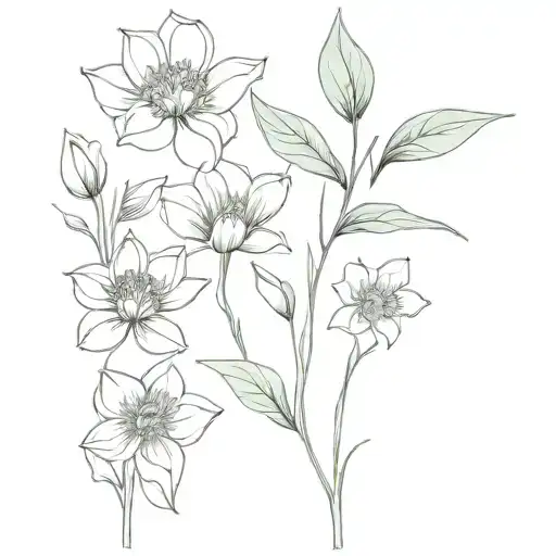 May April October Birth Flower