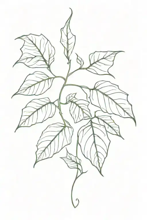 Ivy Leaf