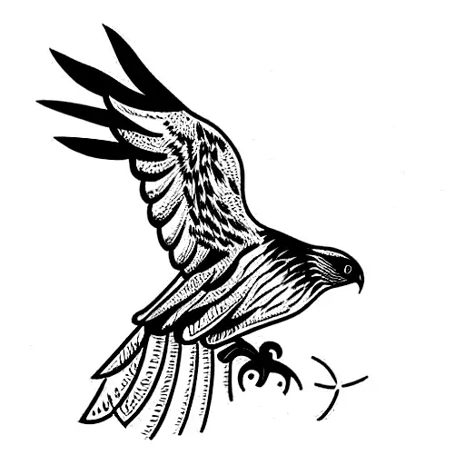 A Cooper Hawk Taking Off From An Old Oak Tree