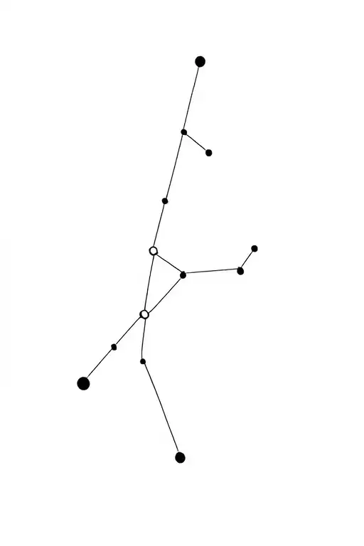 Capricorn Constellation