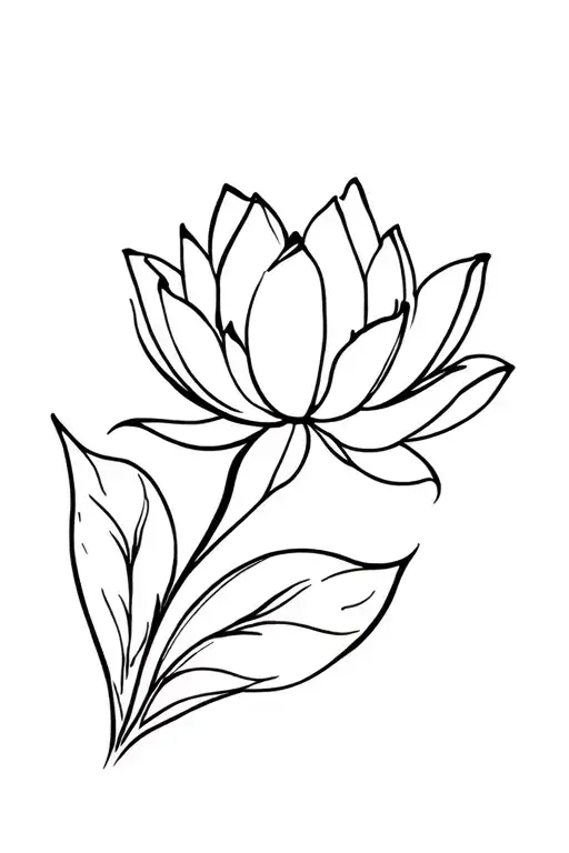 Lotus Flower Blooming