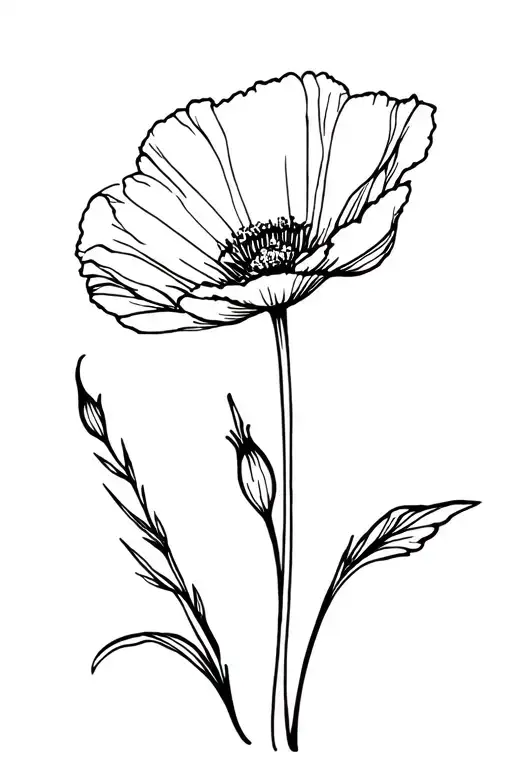 Fine Line Poppy