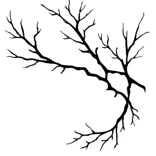 Intertwined Tree Branches