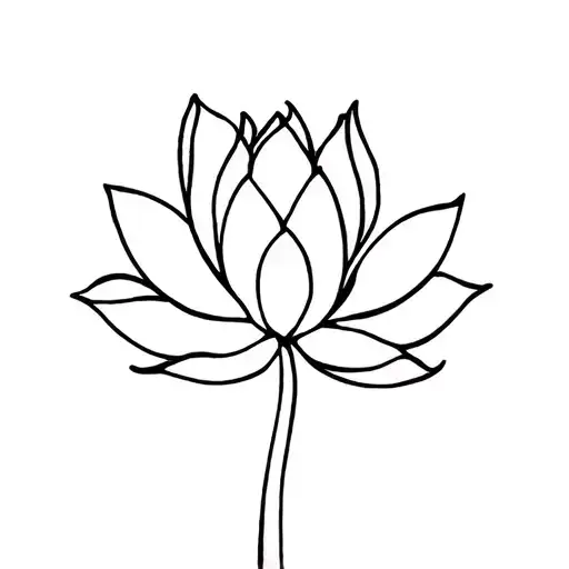 Lotus Flower