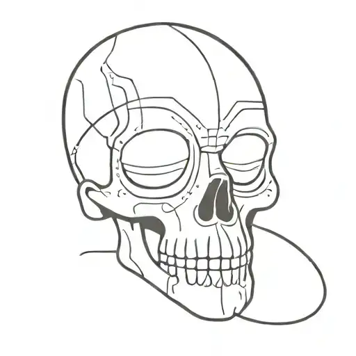 Skull With Blank Space Under The Eyes