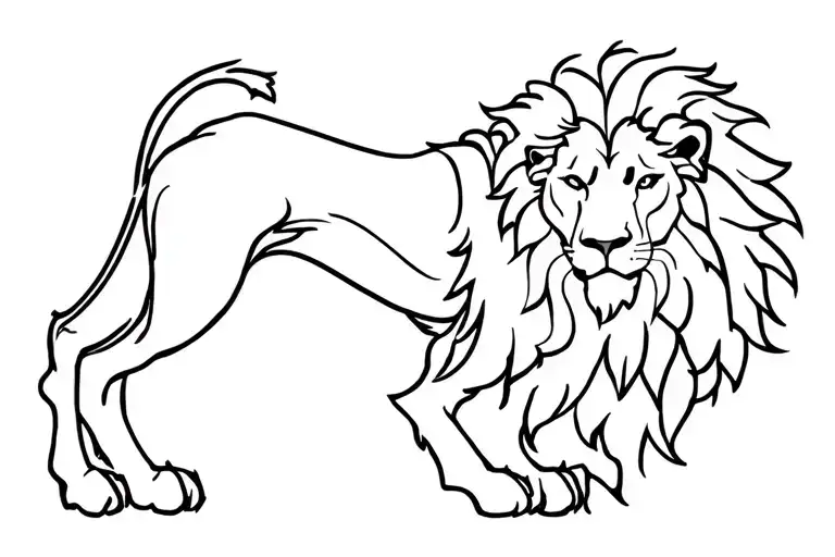 Male Lion