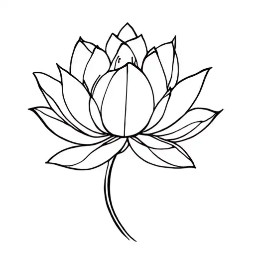 Lotus Flower