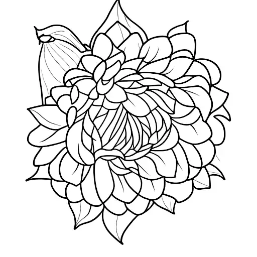 Dog Nose Print Surrounded By Dahlia Flowers