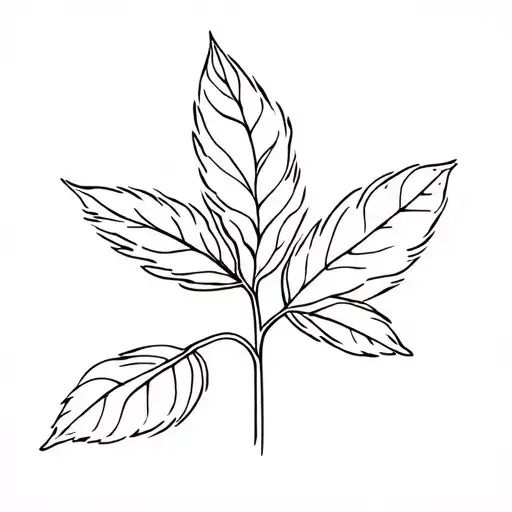 Basil Tatoo Minimal Line Art