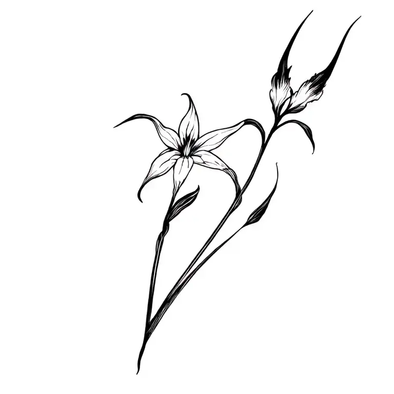 Lycoris Radiata And Darkdevil