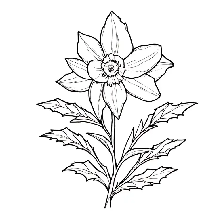 Narcissus And Holly Flowers Wrapped