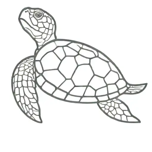 Under The Sea Turtle Swimming