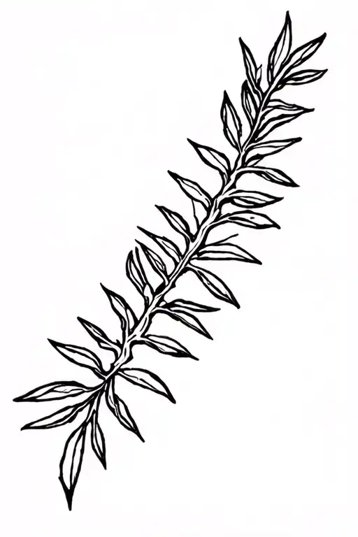 Spine With Olive Tree Branches Black And White