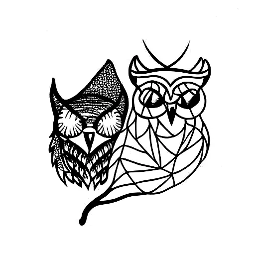 Owl And Wolf