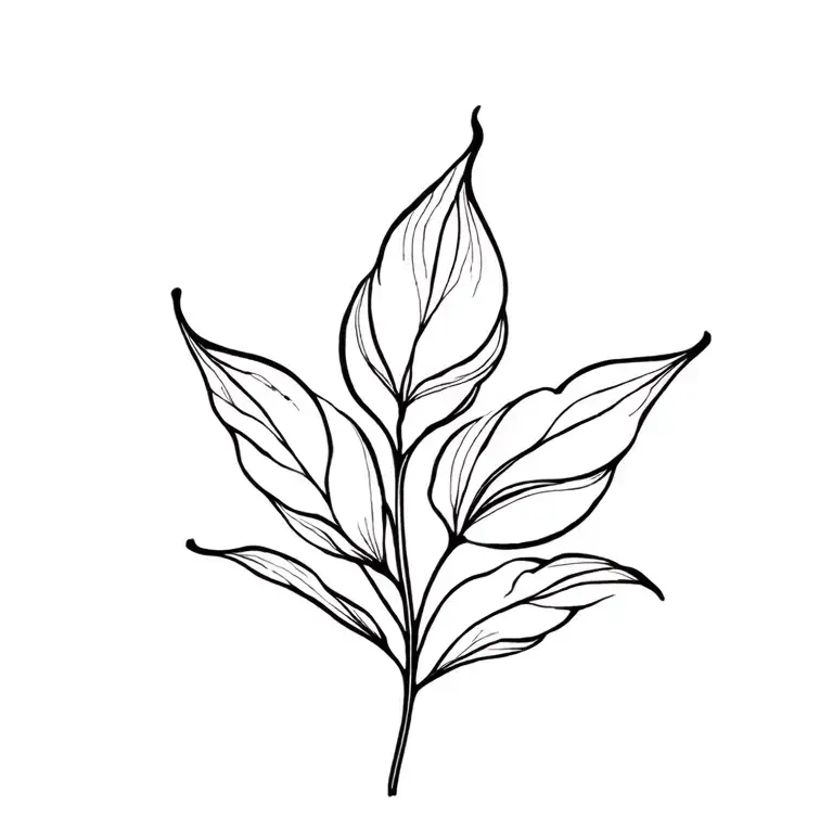 Harveya Speciosa Flower