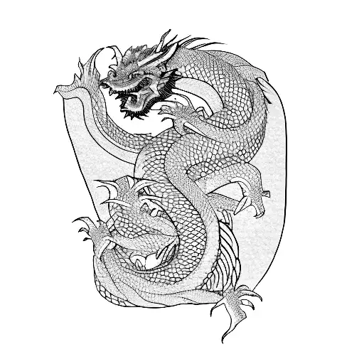 A Japanese Dragon