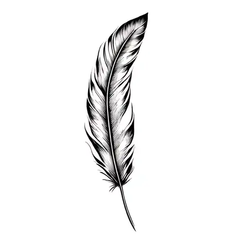Bird Feather