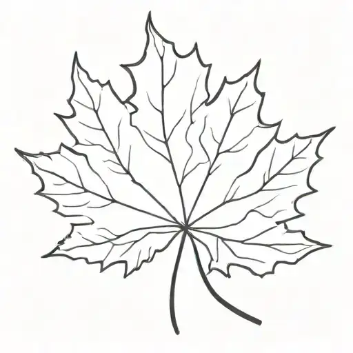 A Minimalist Maple Leaf