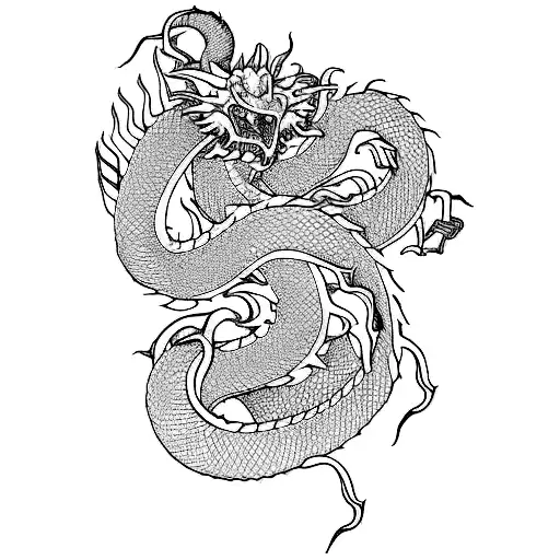 A Japanese Dragon
