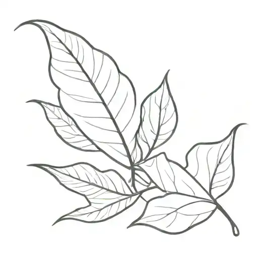 Leaf Plain