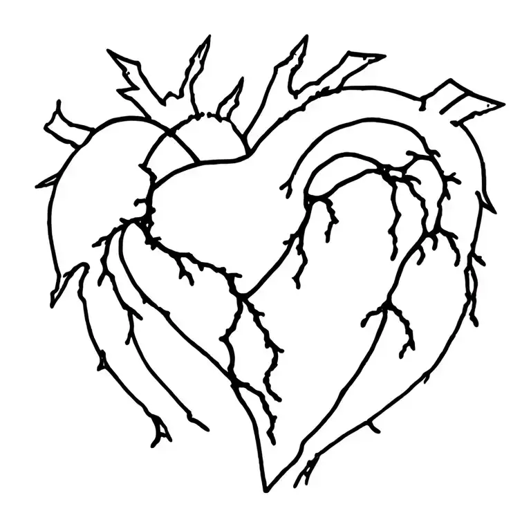 Anatomic Human Heart Ripped Open Heart Torn