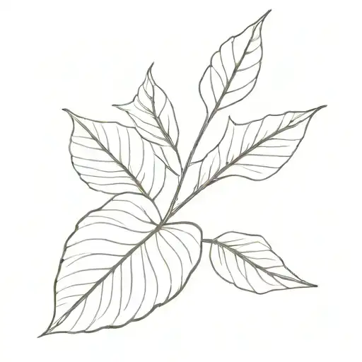 Single Stem Leaf Botanical