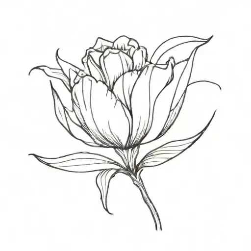 Tulipnang Gemini Constallation