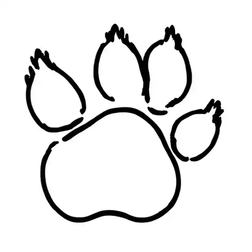Paw Print From Cat