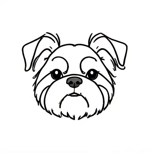 Skinny Shitzu Dog Face With Short Black Fur