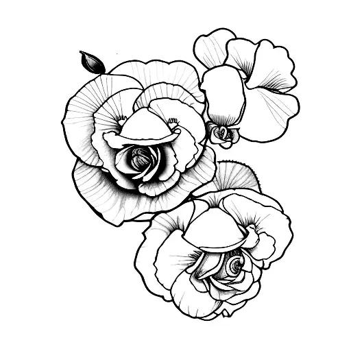 Rose And Pansy And Orchid