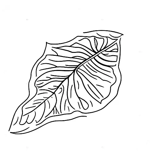 Leaf