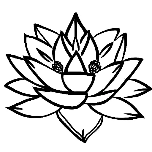 Lotus Flower