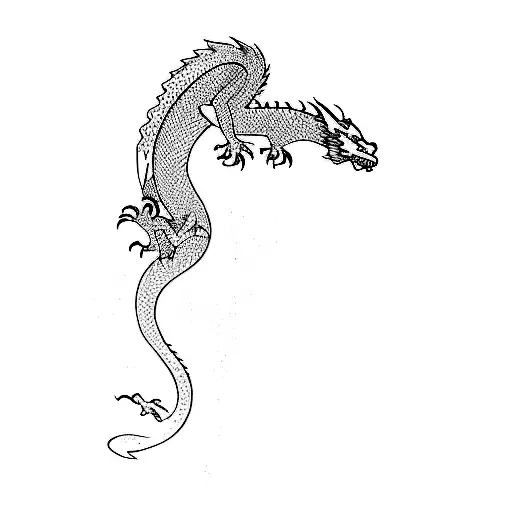 A Dragon