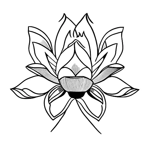 Lotus Flower