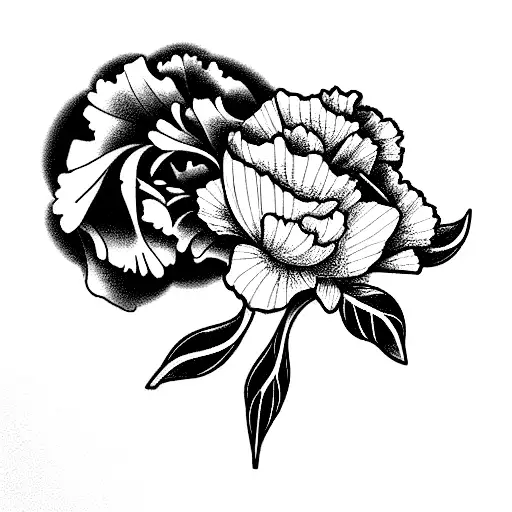 Carnation With Horse