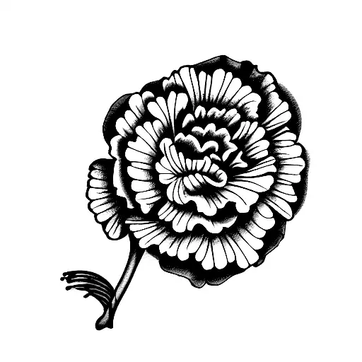 Carnation With Horse