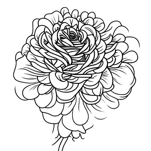 Rose Chrysanthemum Stem Cursive