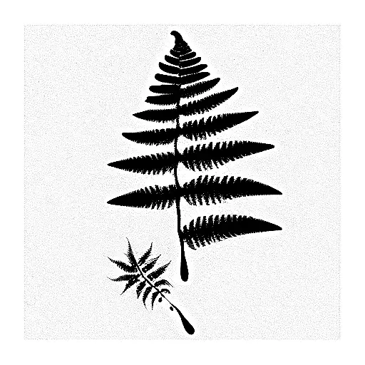 Fern Tree