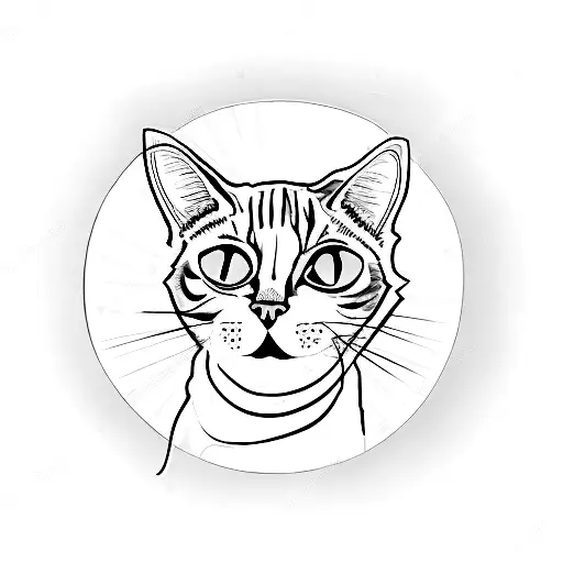 A Cat Wearing A Watch As A Collar