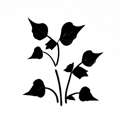 Ivy Plant With The Date 16-04-2023 Embedded