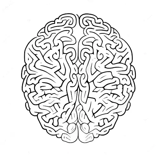 A Colorful Brain With Intricate Patterns Representing Different Emotions And Thoughts