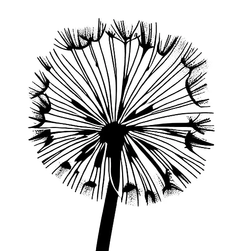 Dandelion