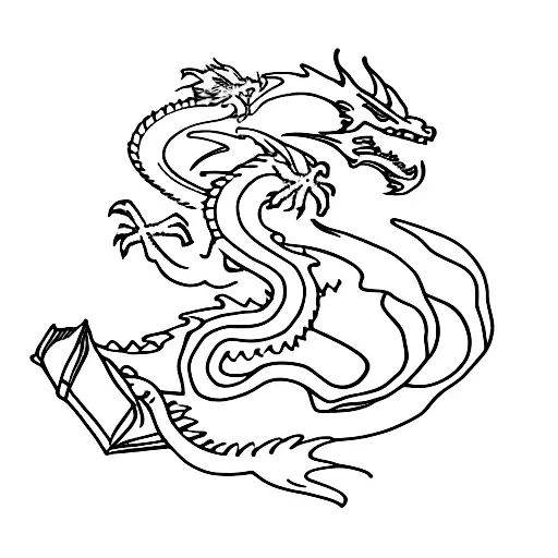Dragon And Books