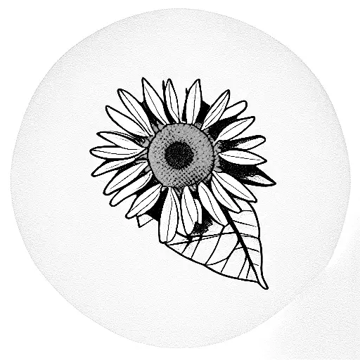 Camomile Flower In Forest