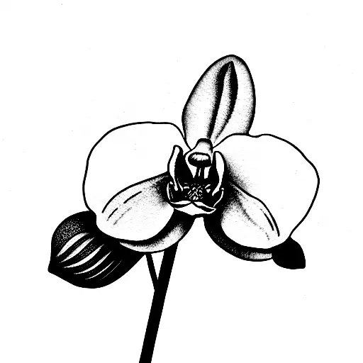 Orchid Around Music Sheet
